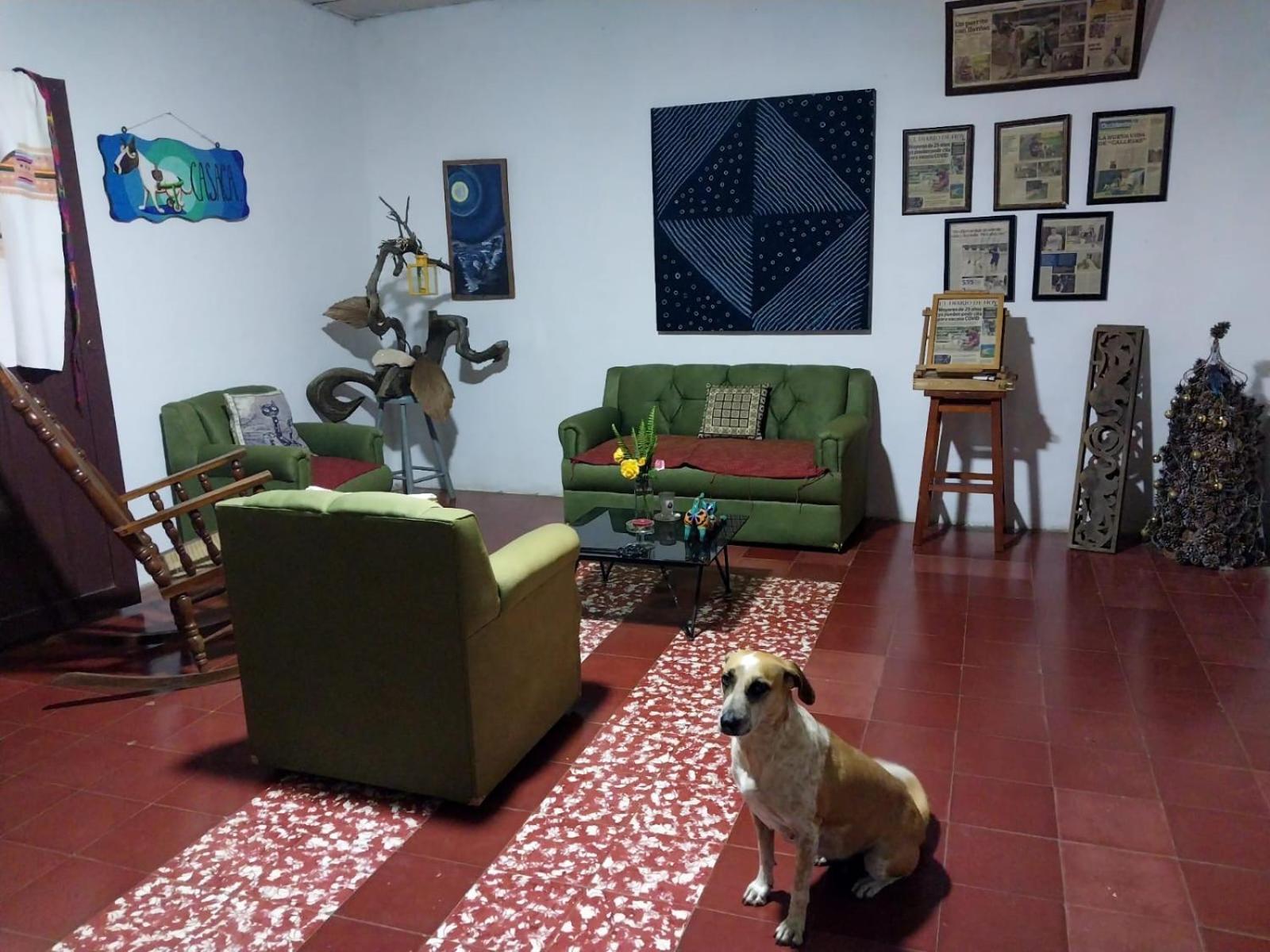 Casaca Apartment Concepcion de Ataco Ngoại thất bức ảnh